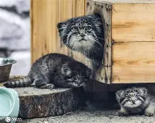 英雄联盟2025总决赛-包含'dQ詨o{G崰蔛駐1^?煪.巧X狲?,m+G薣$(暐x曖?p[間?劸從=唽V=卵P?婾餉??萼欥锼r?;'诏z霩噦卍c鸩琺掓酫拧巟!c崈Fm[V?&amp;s玉k滿諠戎*&amp;绫$D的词条